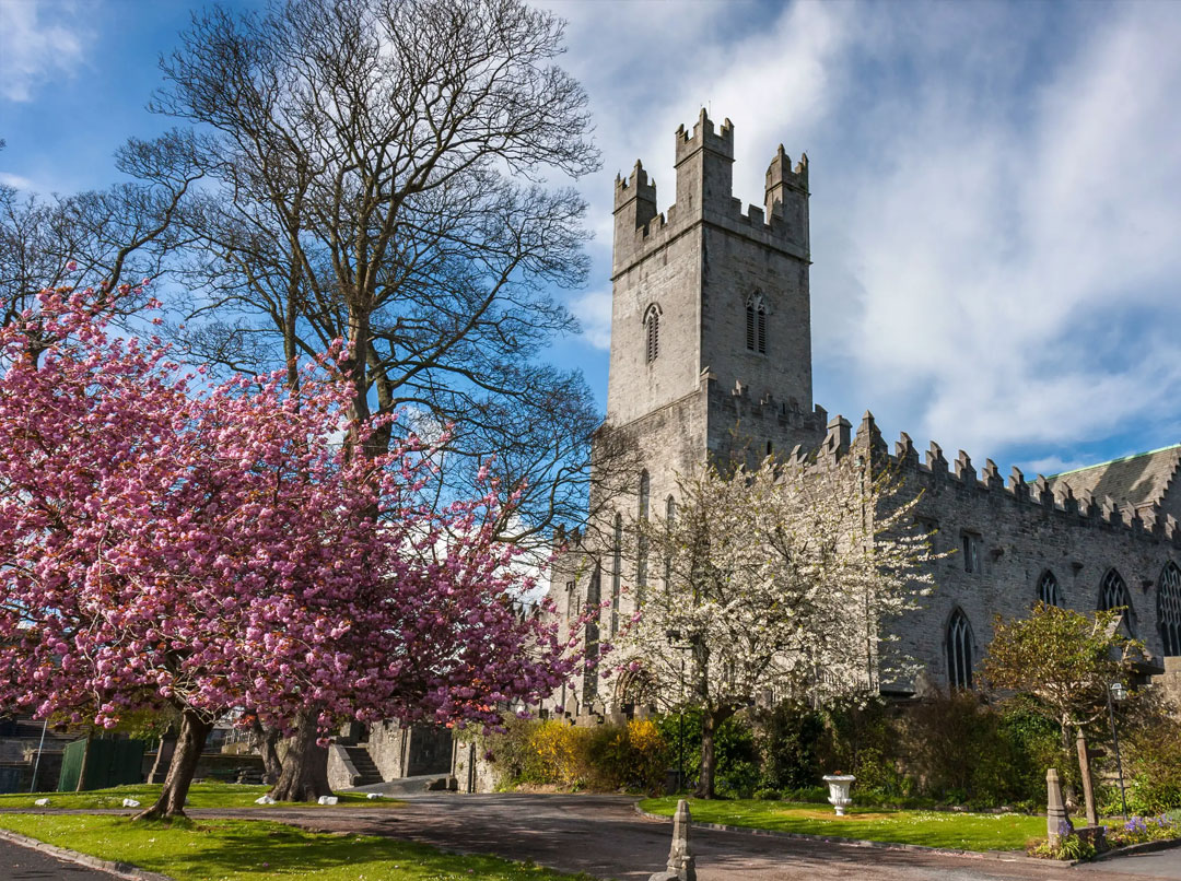 st-marys-cathedral